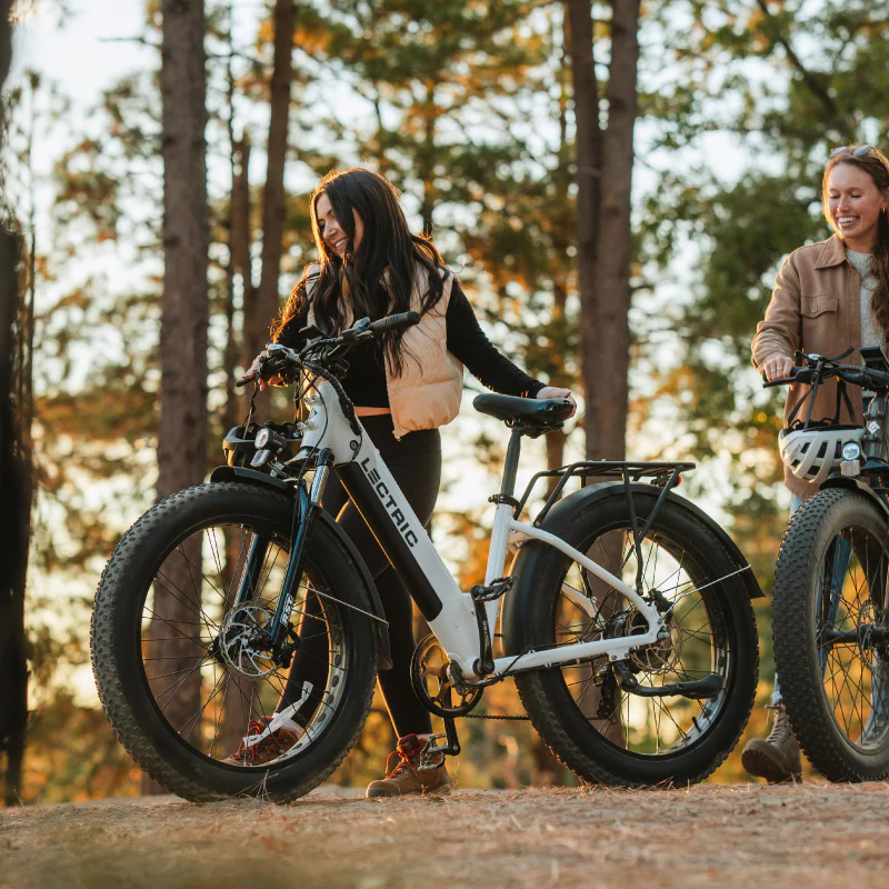 XPeak High-Step eBike For Sale - Image 5
