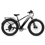 XPeak Step-Thru eBike For Sale