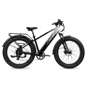 XPeak Step-Thru eBike For Sale