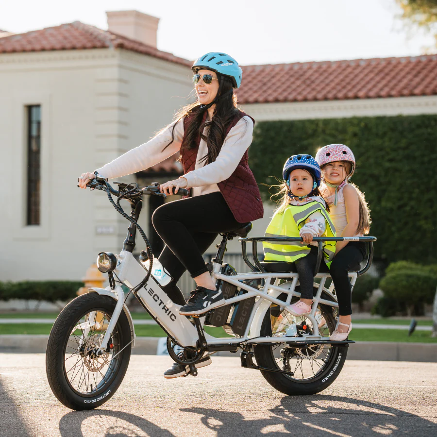 XPedition Cargo eBike For sale - Image 3