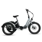 Electric XP Trike For Sale
