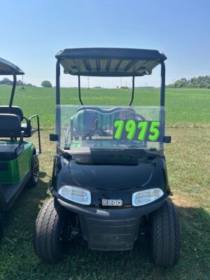 2020 E-Z-GO RXV Electric for Sale