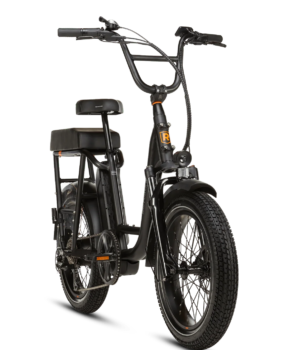 RadRunner™ Plus Electric Cargo Utility Bike For Sale
